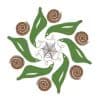 Anvitam logo